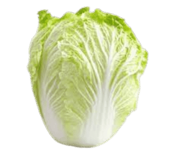 Cabbage chinese 1un