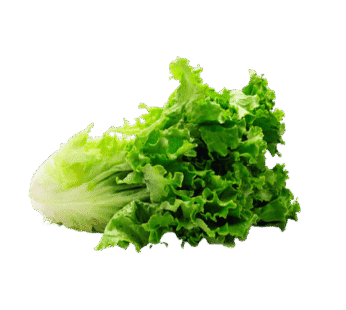 Lettuce (green) 250g