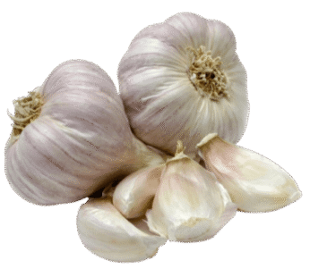 Garlic (local)