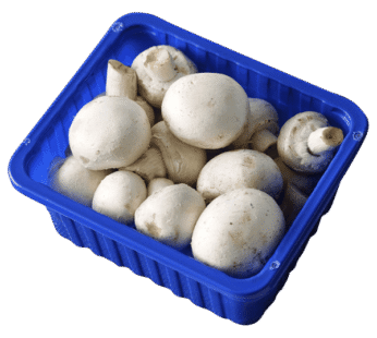 Mushroom fresh imported 250g