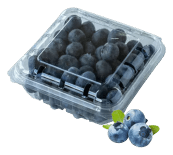 Blueberries imported 125g